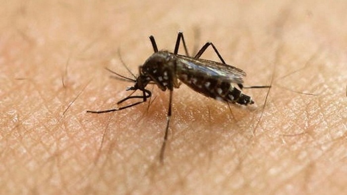Birth defects seen in 6 percent of Zika pregnancies, US study finds 